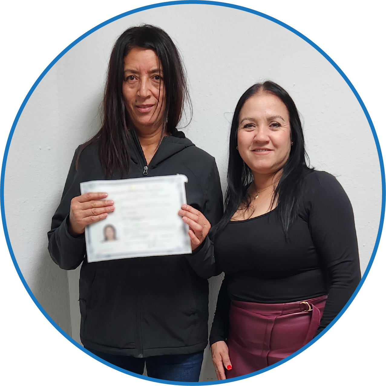 Palomino N-400 Palomino N-400